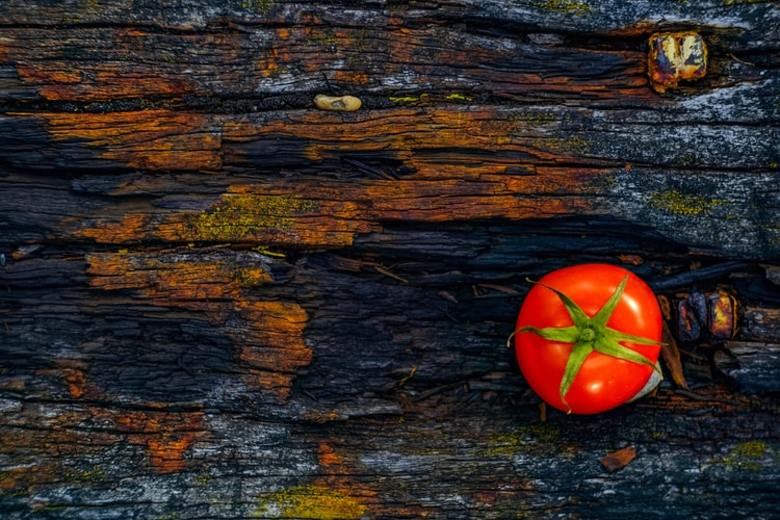 Can a Lowly Tomato Make You More Productive? Can a Lowly Tomato Make You More Productive?