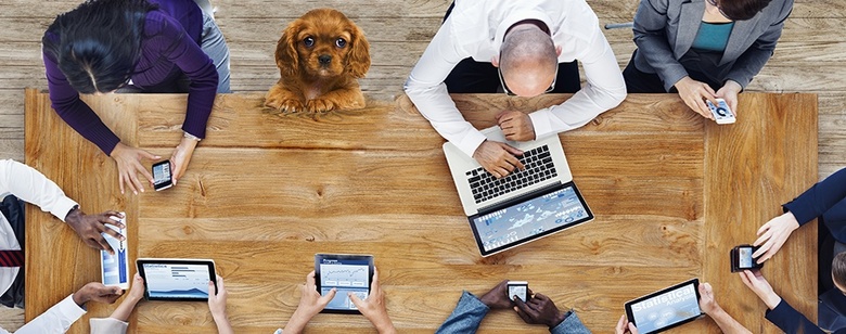 Networking Like a Dog: Tips on Making a Connection