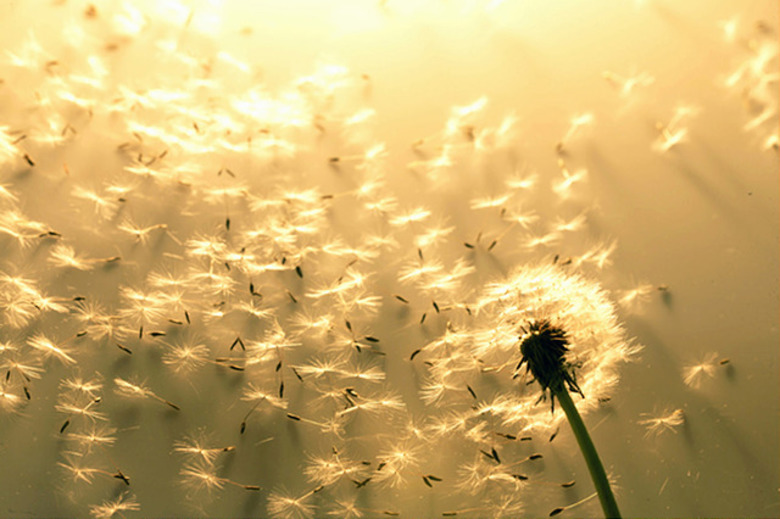 My Keys to Successful Career Transitions My Keys to Successful Career Transitions