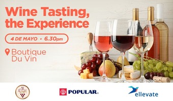 Wine Tasting, the Experience