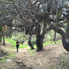 madelyneriksen's profile thumbnail