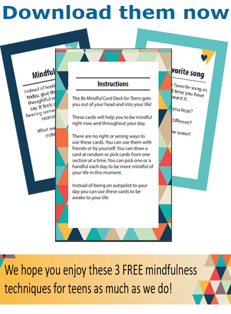 Assessment Companion Infographic