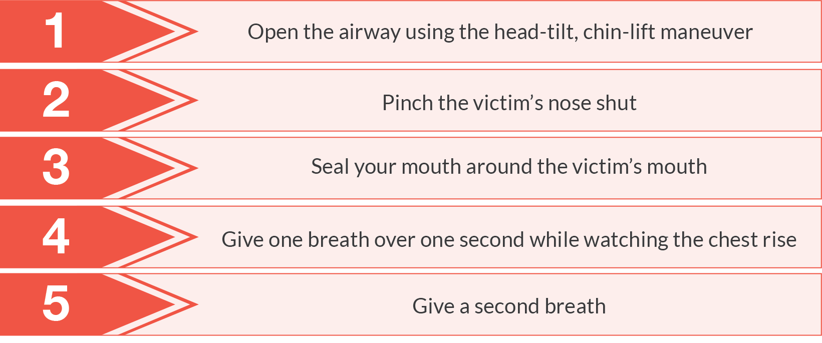 Steps For Adult and Child Mouth-to-Mouth | eMedCert