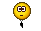 216 216