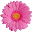 251 251