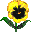 244 244