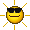sunglasses sunglasses
