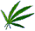 weed4