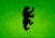 mormont