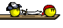 wp