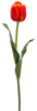 tulipred tulipred