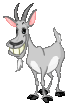 pierre