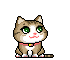 kitty
