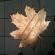 NFLD