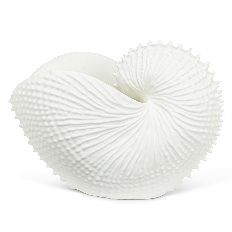 Jumbo Nautilus Shell Holder-13