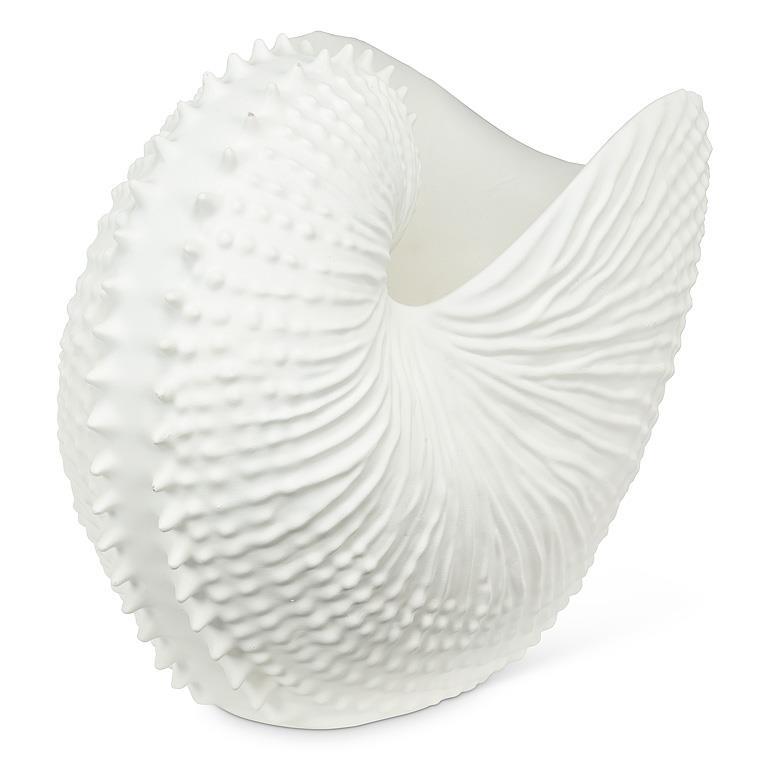 Jumbo Nautilus Shell Holder-13