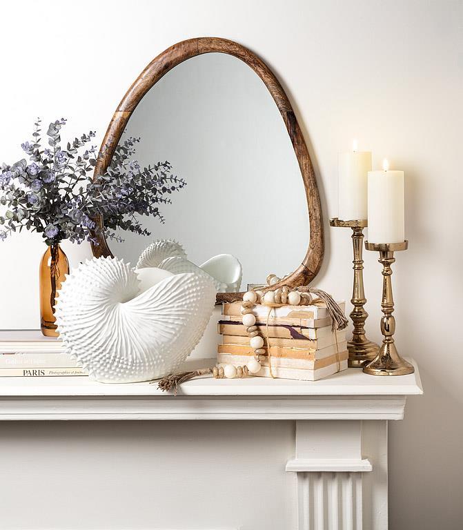 Jumbo Nautilus Shell Holder-13