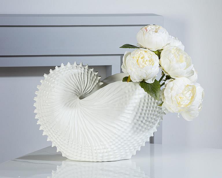 Jumbo Nautilus Shell Holder-13 Jumbo Nautilus Shell Holder-13
