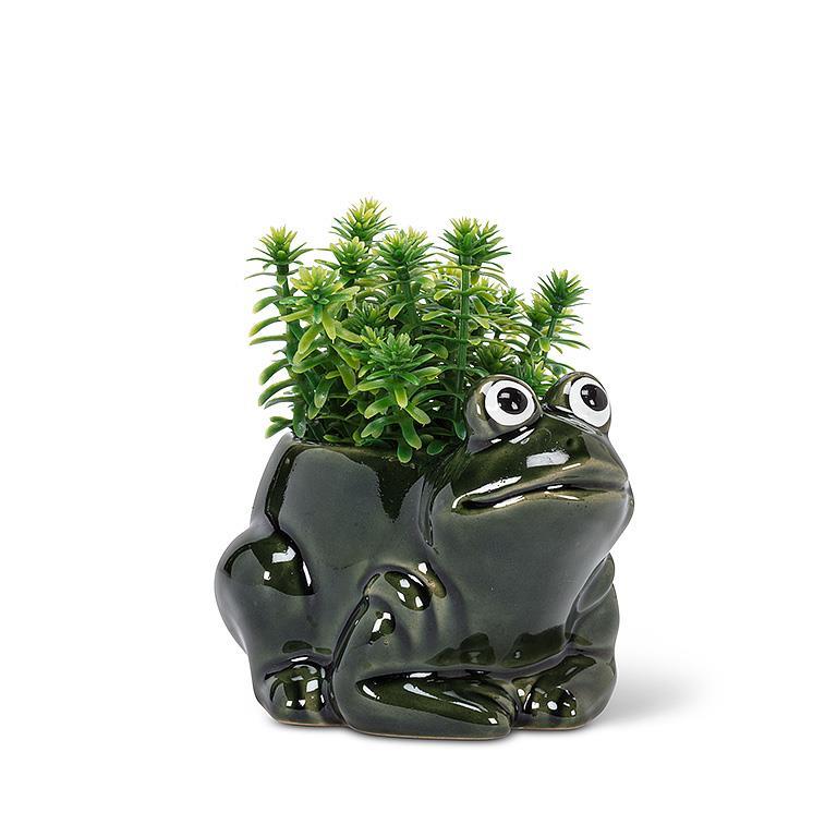 Sm Crouched Frog Planter-4.5