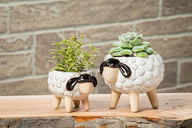 Sm Sheep on Legs Planter-2.5