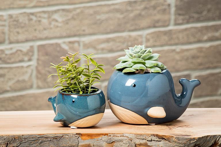 Lg Blue Whale Planter-3
