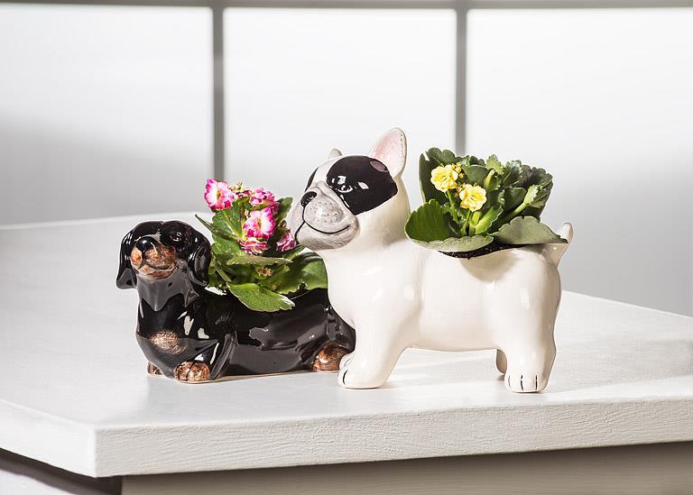 Sm Dachshund Planter-6