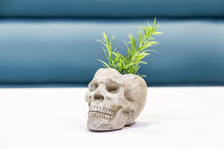 Sm Skull Planter/Tealite Holder-3