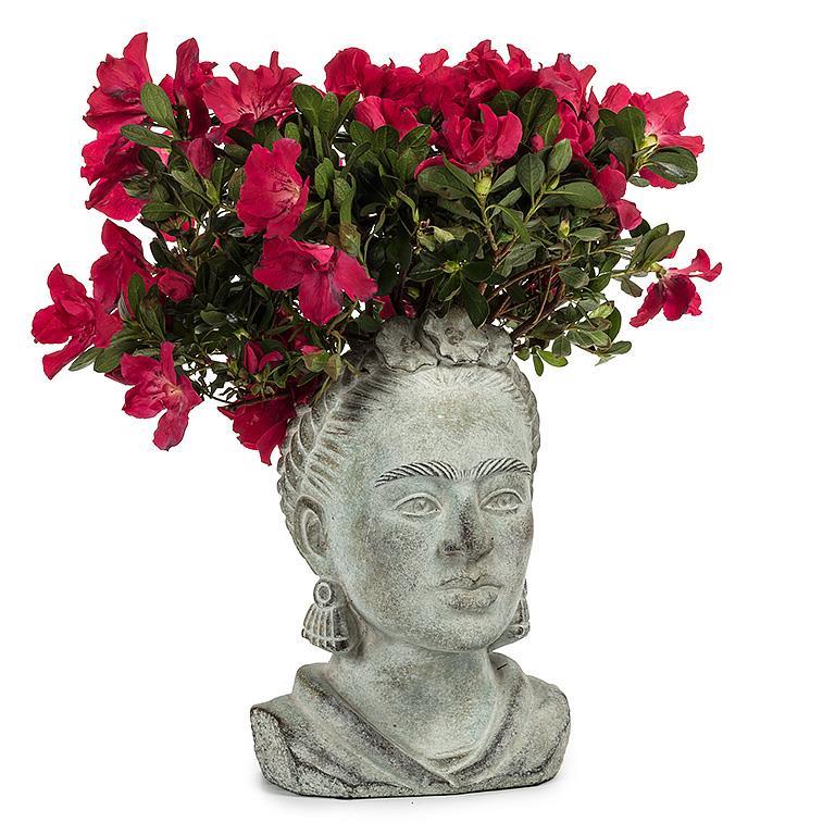 gold plant pot Nordic White-Gold Planter & Pot main image 0