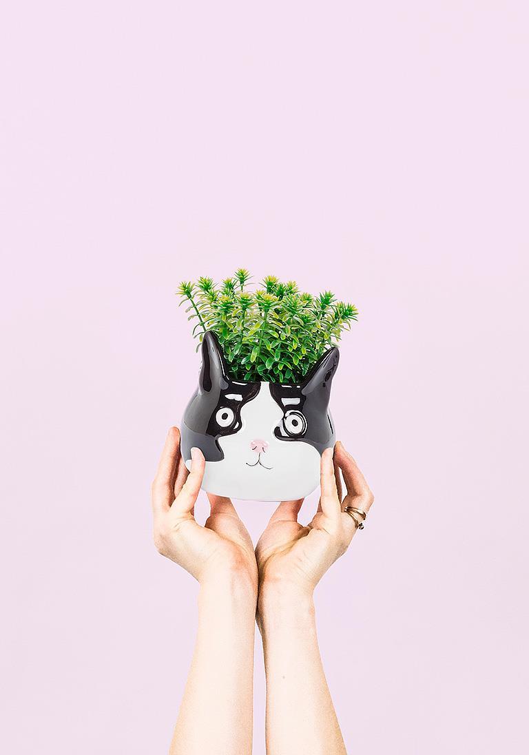 Lg Cat Head Planter-4