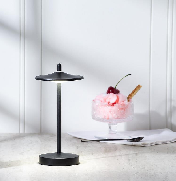 Disc Shade Mini LED Light-Blk-7