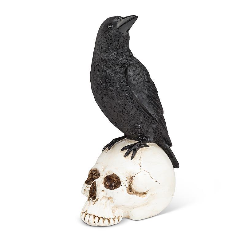 Raven Perched on Skull-8.5