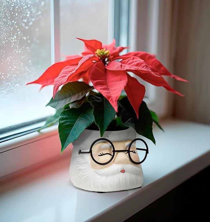 Sm Santa Planter w/Glasses-3"H
