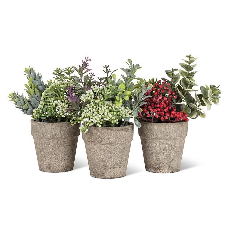 Sm Mixed Greenery w/Lavender Plant Pot-6