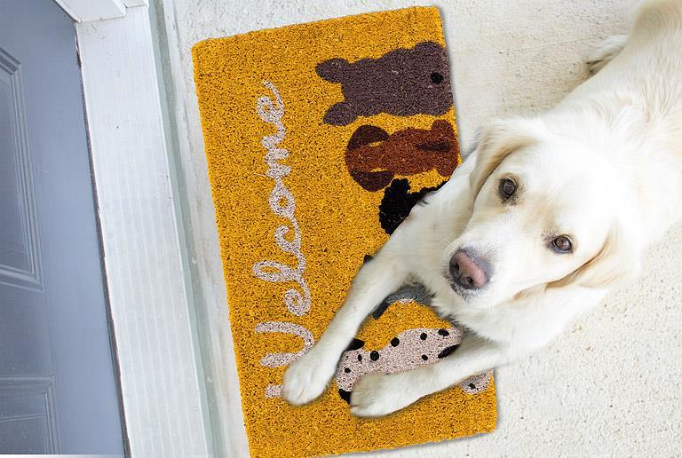 Dog Welcome Doormat-18X30