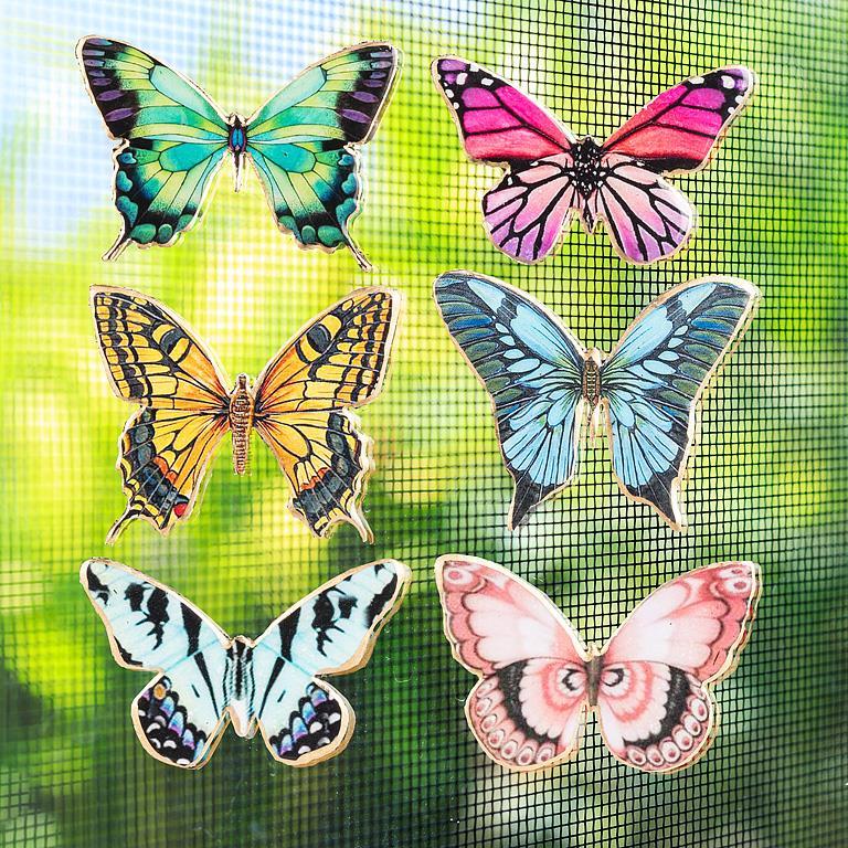 Butterfly Two-Sided Magnet Decor-6Asst-2