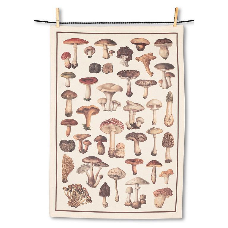 4176 mushroom 920mm×720mm NEWForbo Desktop Linoleum 