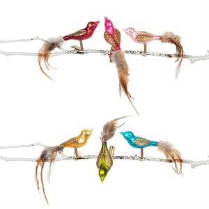 Feather Tail Bird Clip Ornament-6Asst-5.5