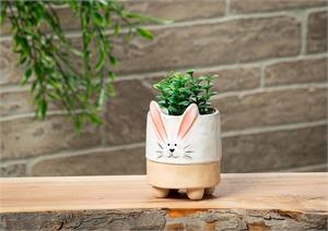 Sm Bunny w/Ears Planter-4
