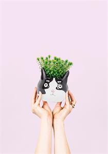 Lg Cat Head Planter-4