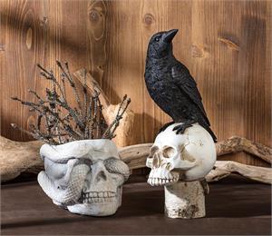 Raven Perched on Skull-8.5