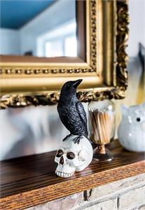 Raven Perched on Skull-8.5