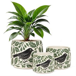 Lg Crow & Leaves Planter-9.5