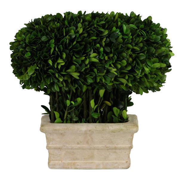 Footwear adidas - Copa Sense.4 In J FX1973 Cblack/Syello/Syello - Laced  shoes - Low shoes - Boy - Kids' shoes | efootwear.eu