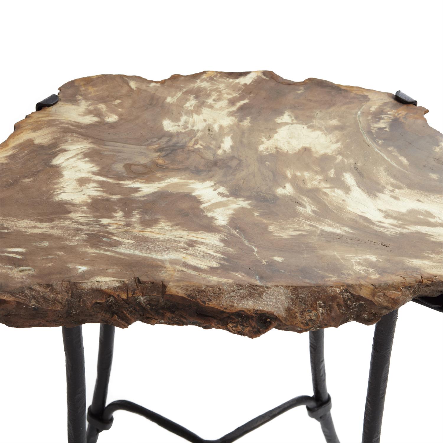 Petrified Accent Table