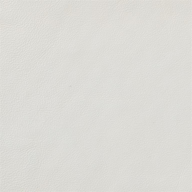 Leather (218-002 Leather)