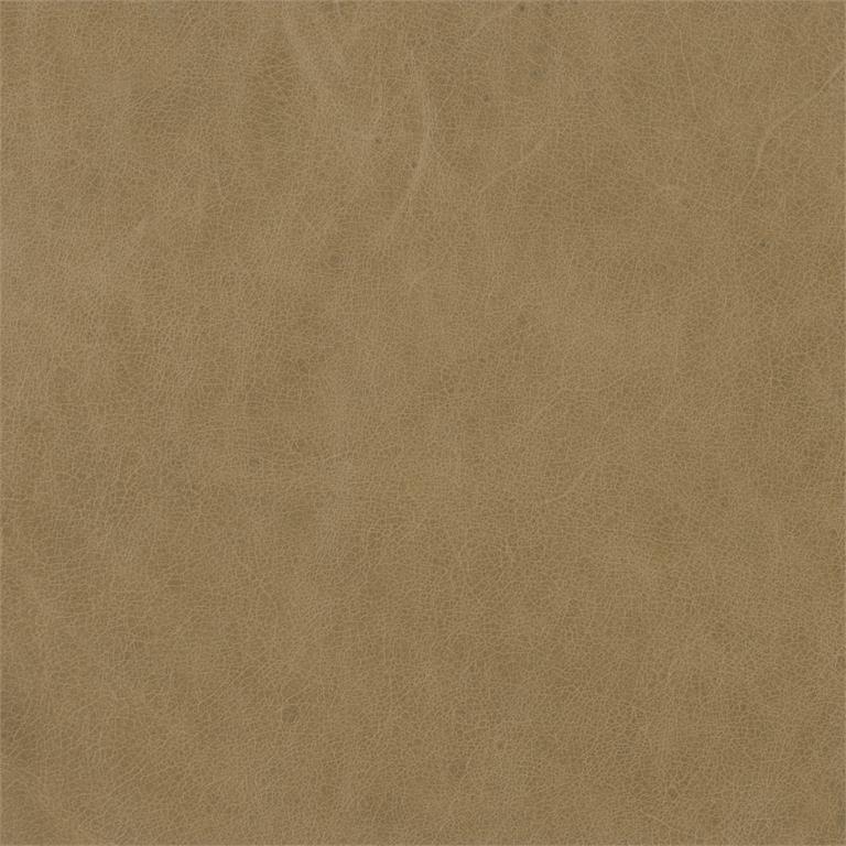 Leather (296-002 Leather)