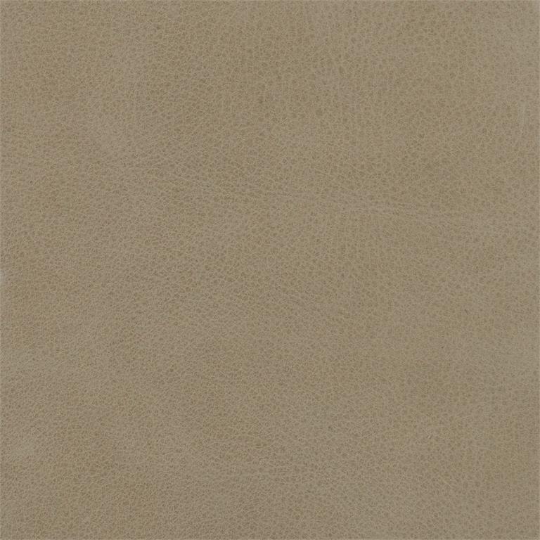 Leather (298-202 Leather)