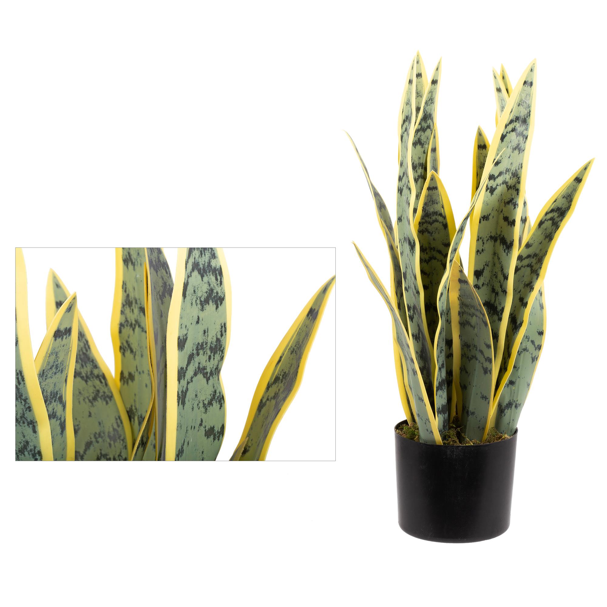 Artificial Snake Plant, 10.25" Dx 21"H