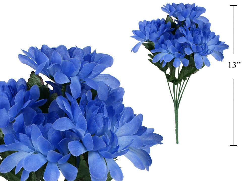 Chrysanthemum, Blue Chrysanthemum, Blue