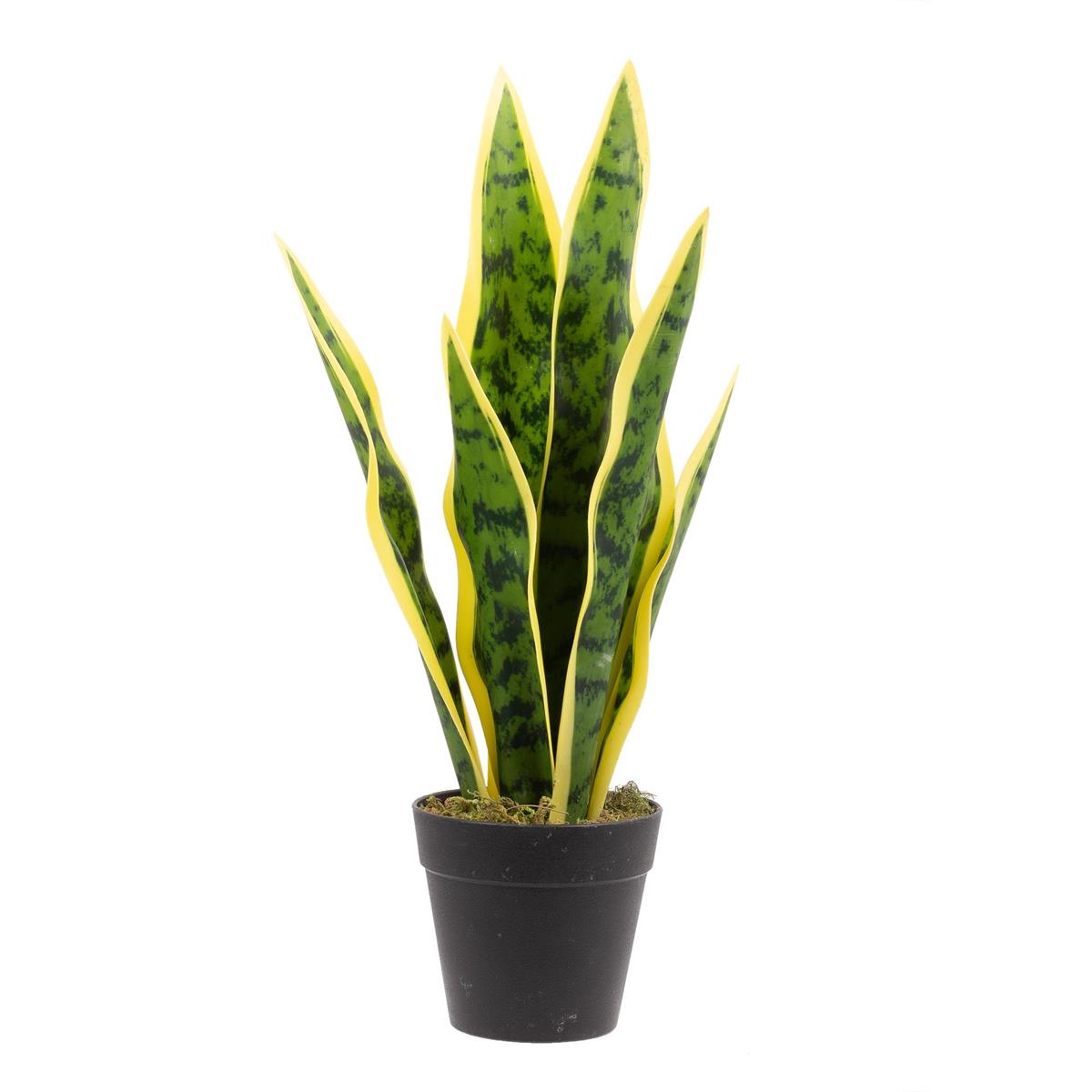 Artificial Snake Plant, 7.85" x 5.5"x 16"H